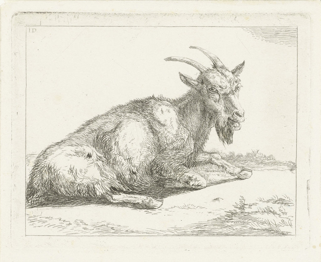 Detail of Goat by Jan Dasveldt
