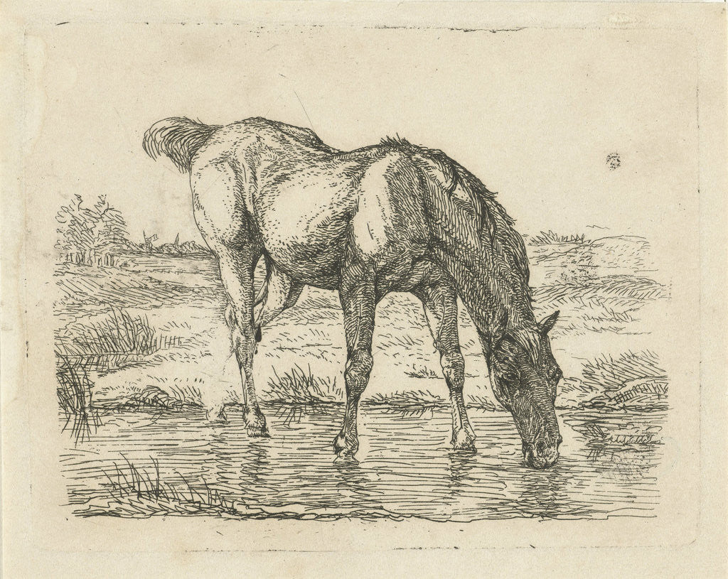 Detail of Drinking horse by Jan Dasveldt