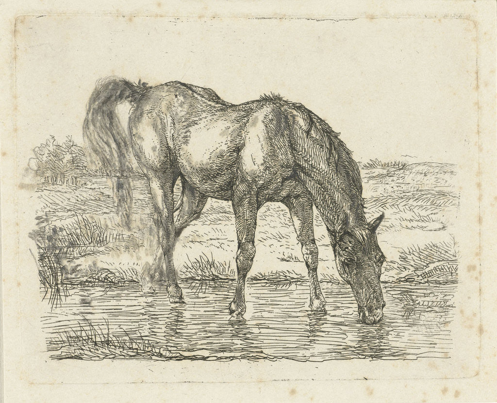 Detail of Drinking horse by Jan Dasveldt