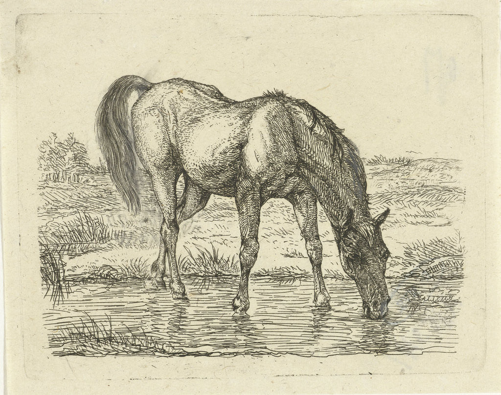 Detail of Drinking horse by Jan Dasveldt