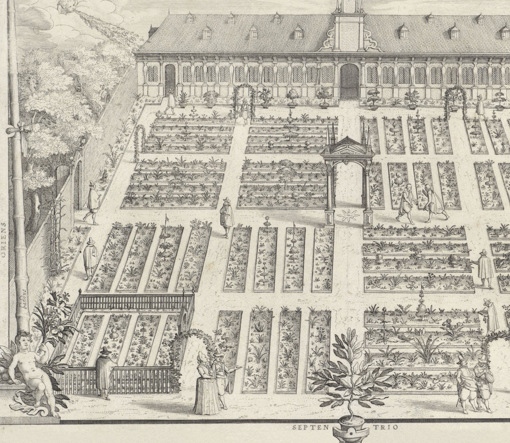 Detail of Hortus Botanicus of Leiden University by Claes Jansz. Visscher II