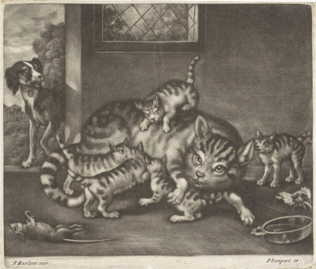 Detail of Cat with five kittens by Pierce Tempest