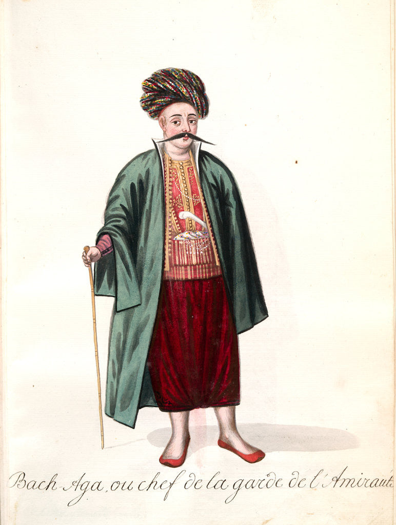 Detail of Bach-aga by Mahmud II