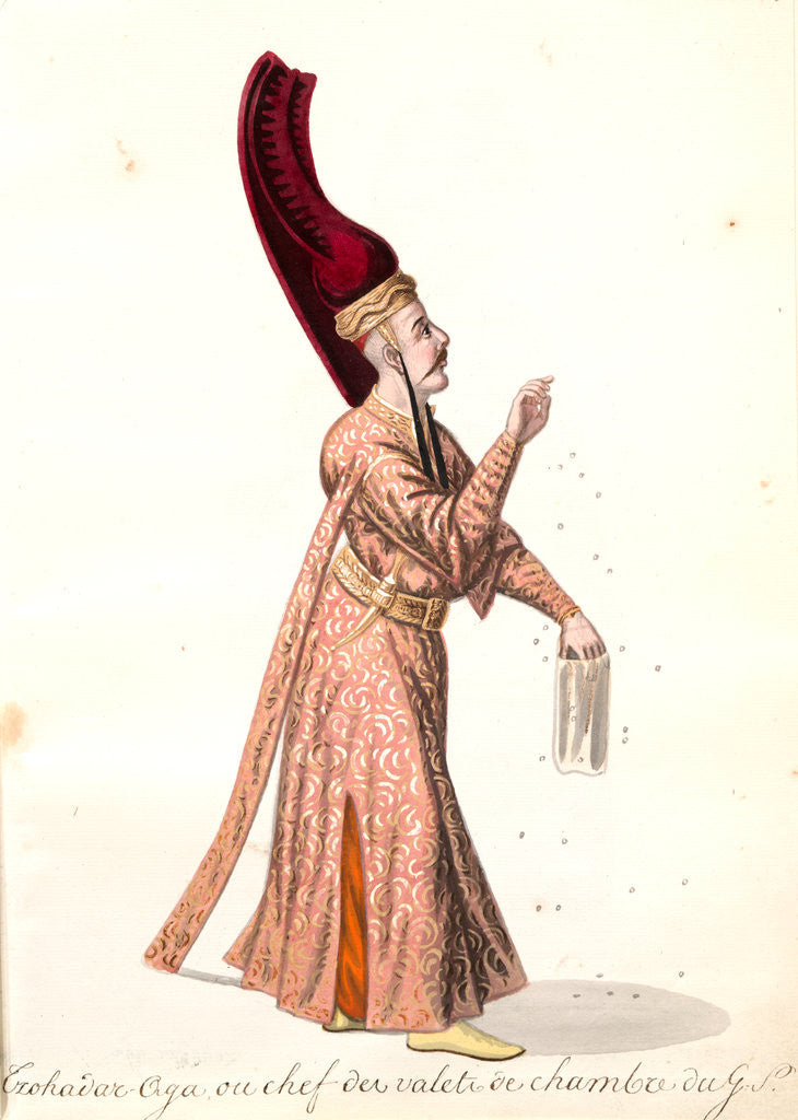 Detail of Czohadar-aga by Mahmud II