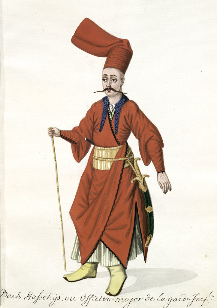 Detail of Bach-hassekys by Mahmud II