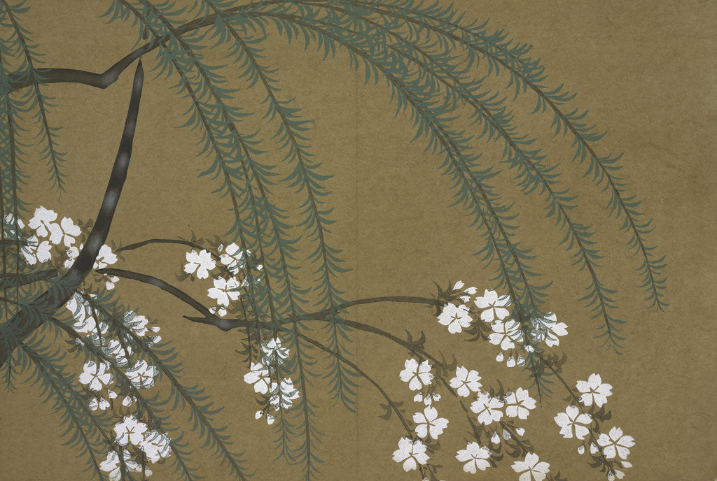 Detail of Momoyogusa Flowers of a Hundred Generations by Sekka Kamisaka