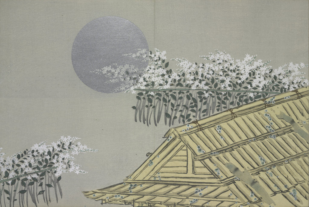 Detail of Momoyogusa Flowers of a Hundred Generations by Sekka Kamisaka