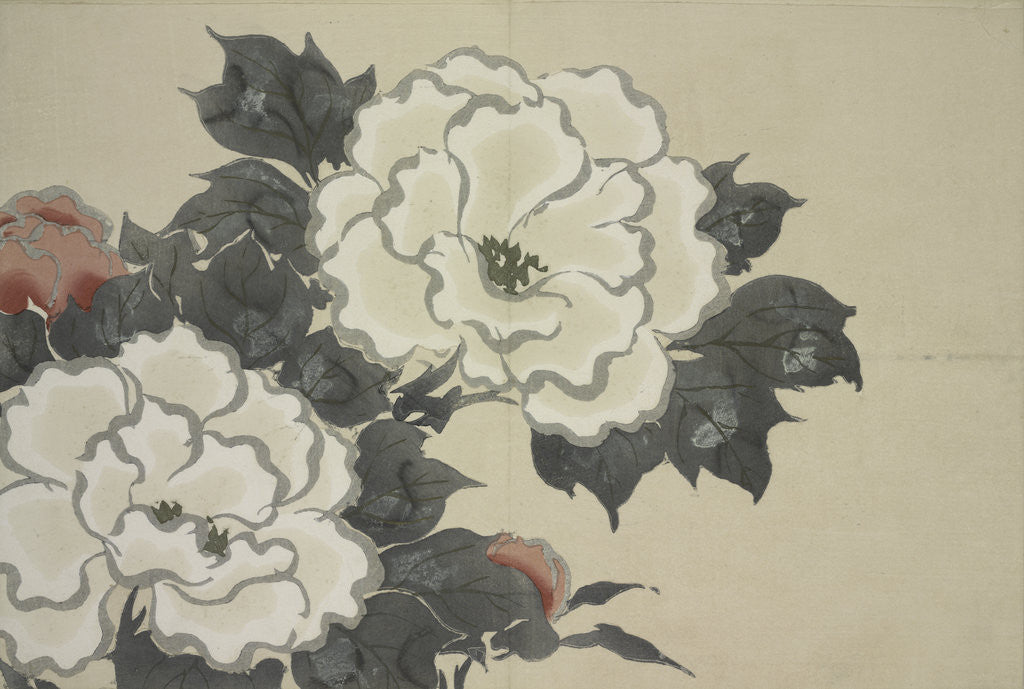 Detail of Momoyogusa Flowers of a Hundred Generations by Sekka Kamisaka