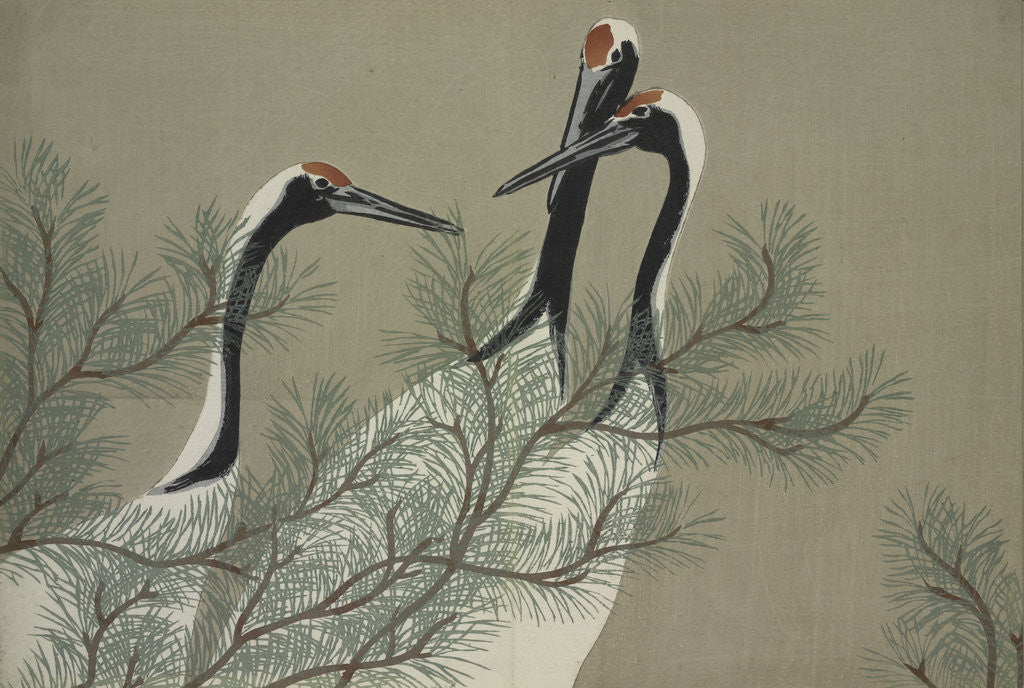 Detail of Momoyogusa Flowers of a Hundred Generations by Sekka Kamisaka