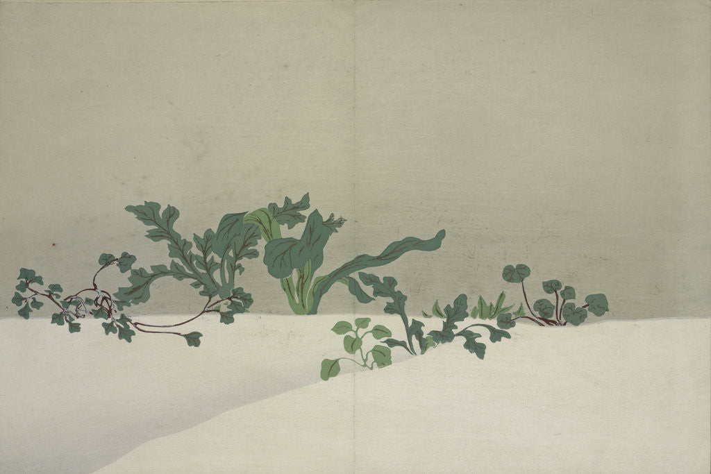 Detail of Green Plants by Sekka Kamisaka