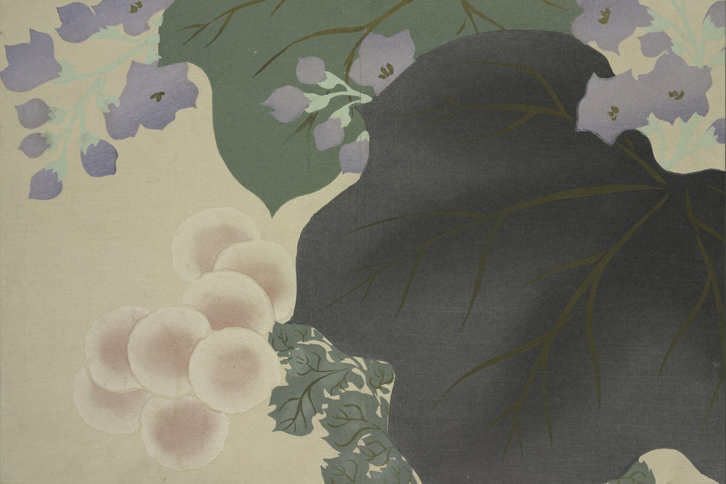 Detail of Flowers and leaves by Sekka Kamisaka