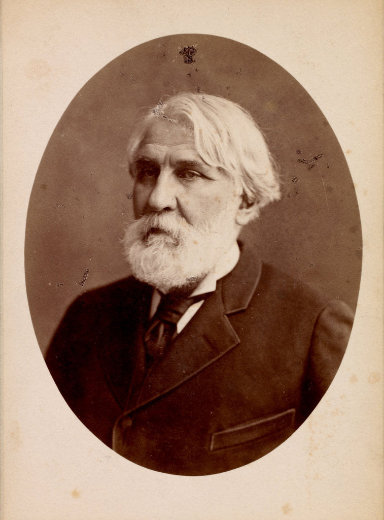 Detail of Allium paniculatum, Ail en panicule, Meditteranean onion by Pierre Joseph Redouté