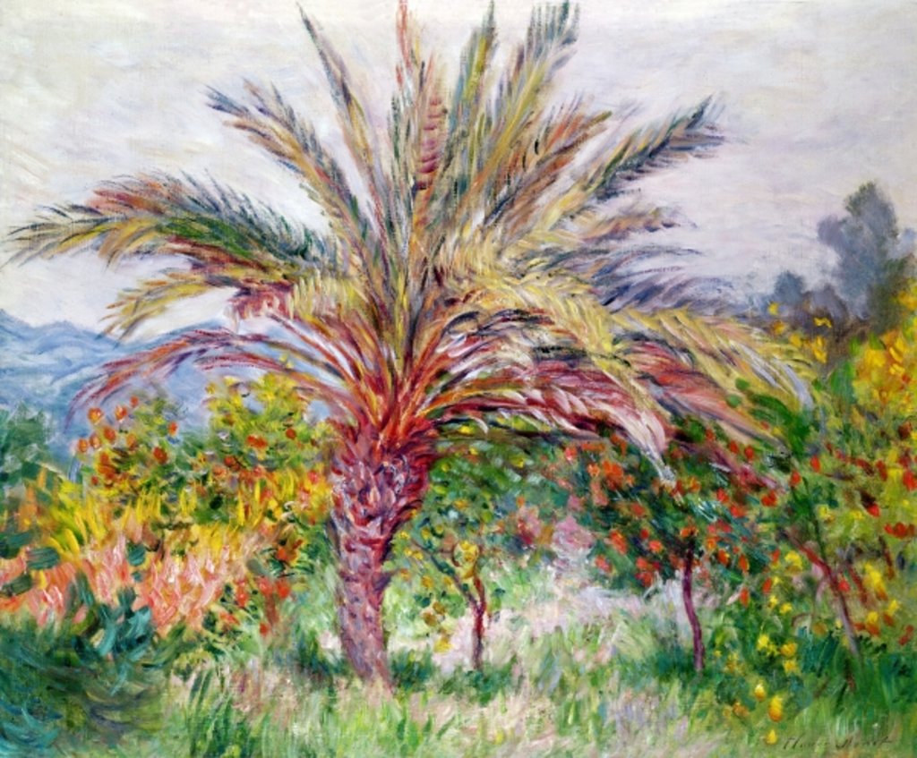 Detail of Palm Tree at Bordighera, c.1884 by Claude Monet