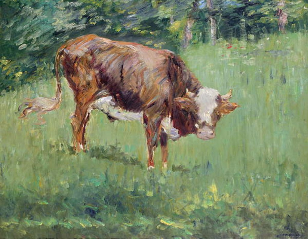 Detail of Young Bull in a Meadow, 1881 by Edouard Manet