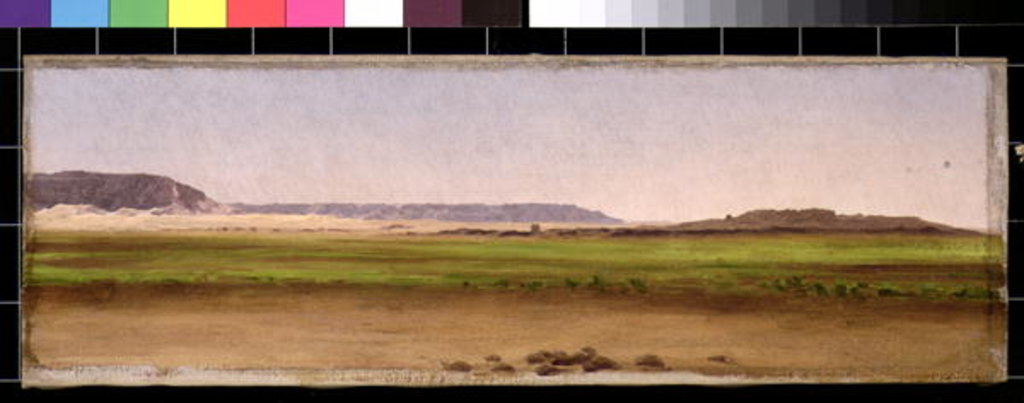 Pasture, Egypt, 1868 by Frederic Leighton