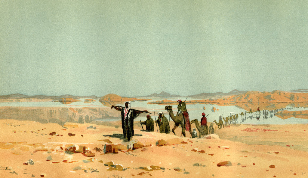 Detail of Sahara 19th Century Desert Camels by Anonymous