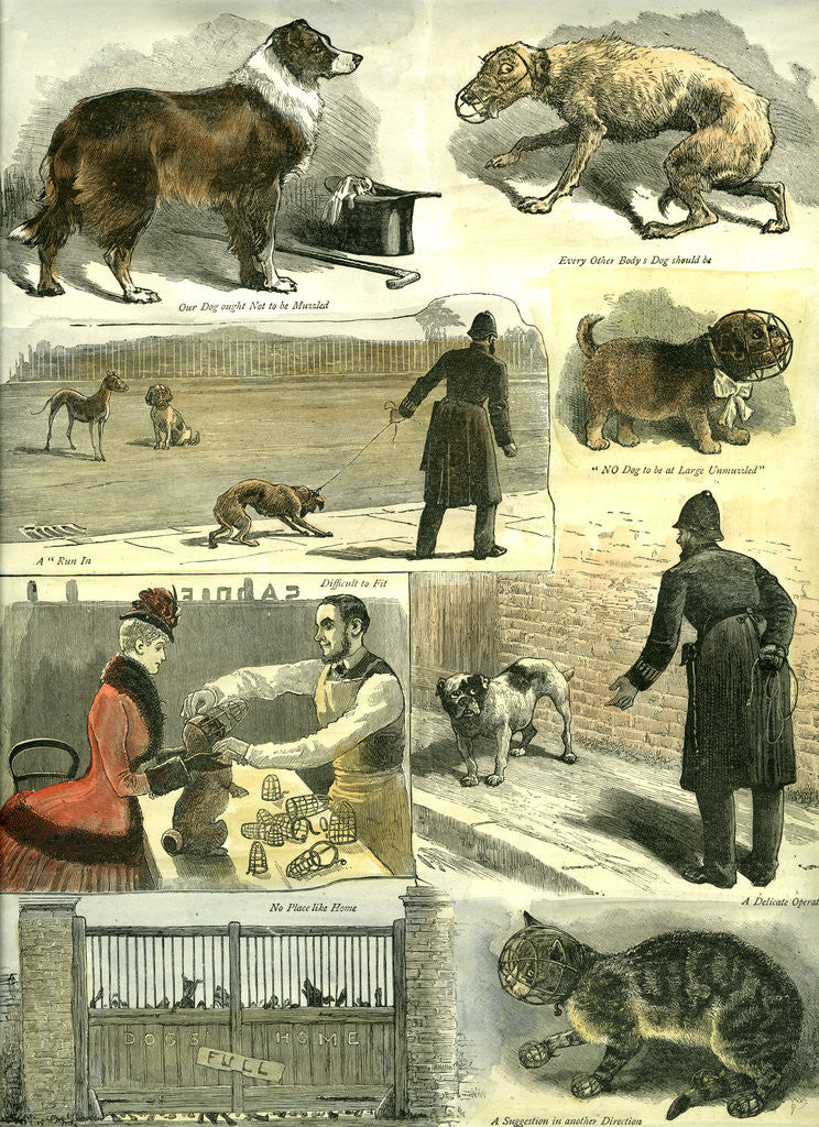 Detail of Dogs UK Police Regulations 1885 by Anonymous