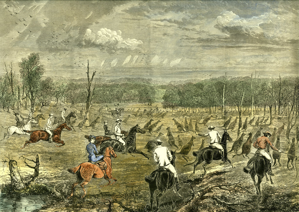 Detail of Australia Kangaroo Hunt 1880 by Anonymous