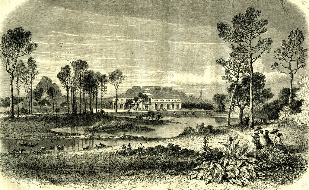 Detail of Bois De Boulogne Paris 19th Century by Anonymous