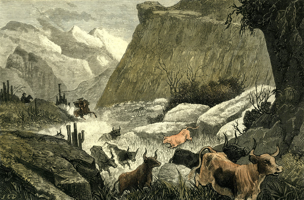 Detail of Chile Rodeo 1880 Driving Down the Cattle from the Mountains to the Corrals by Anonymous
