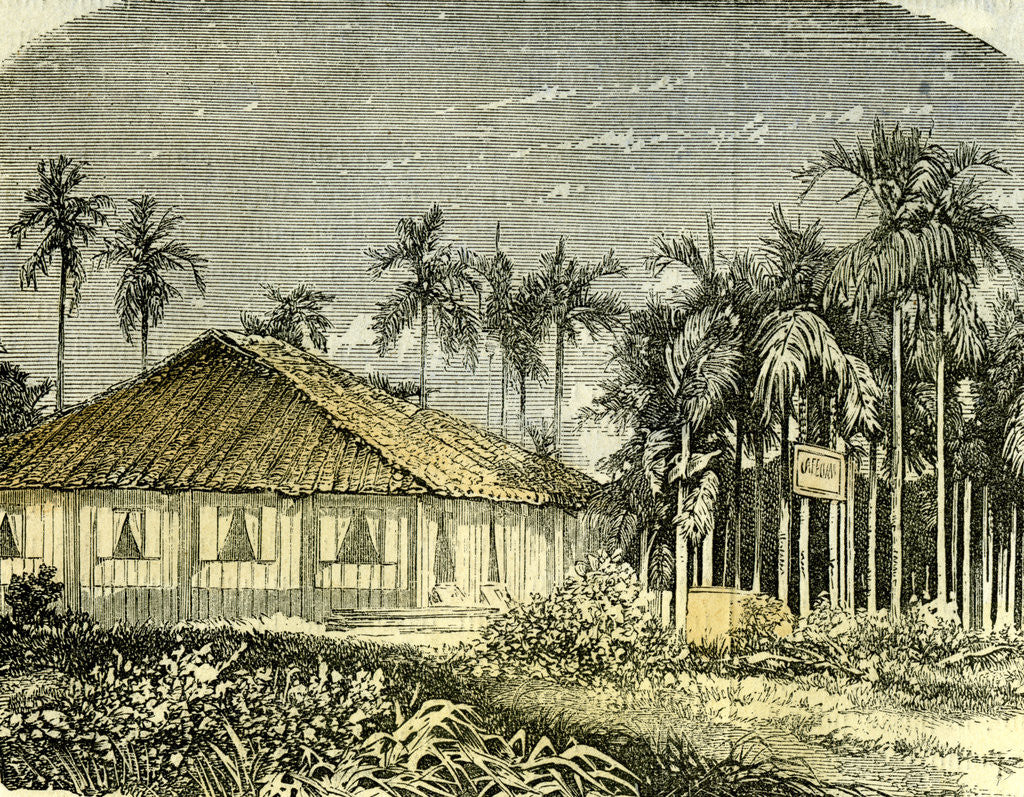 Detail of Saigon Rue De Gouvernement Vietnam 19th Century by Anonymous
