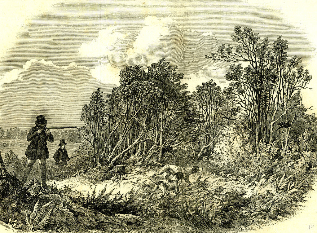 Detail of Pheasant Shooting UK 1850 by Anonymous