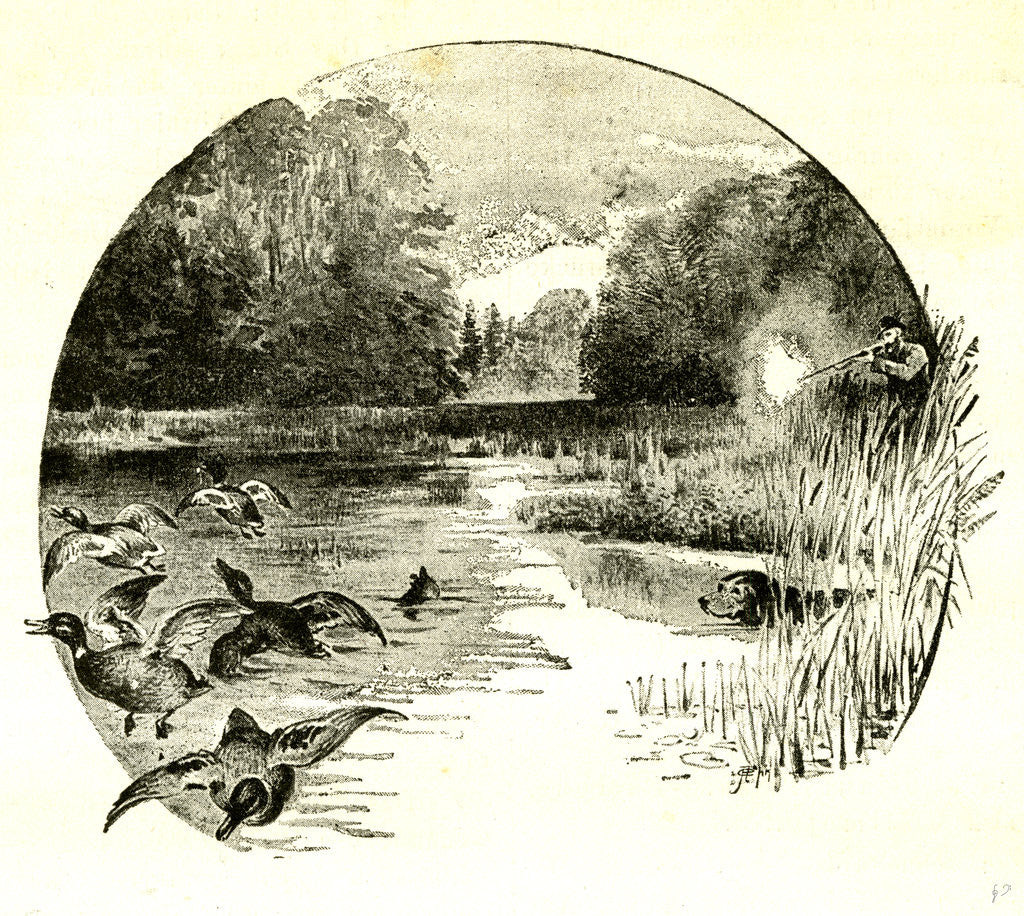 Detail of Hunt Austria 1891 by Anonymous