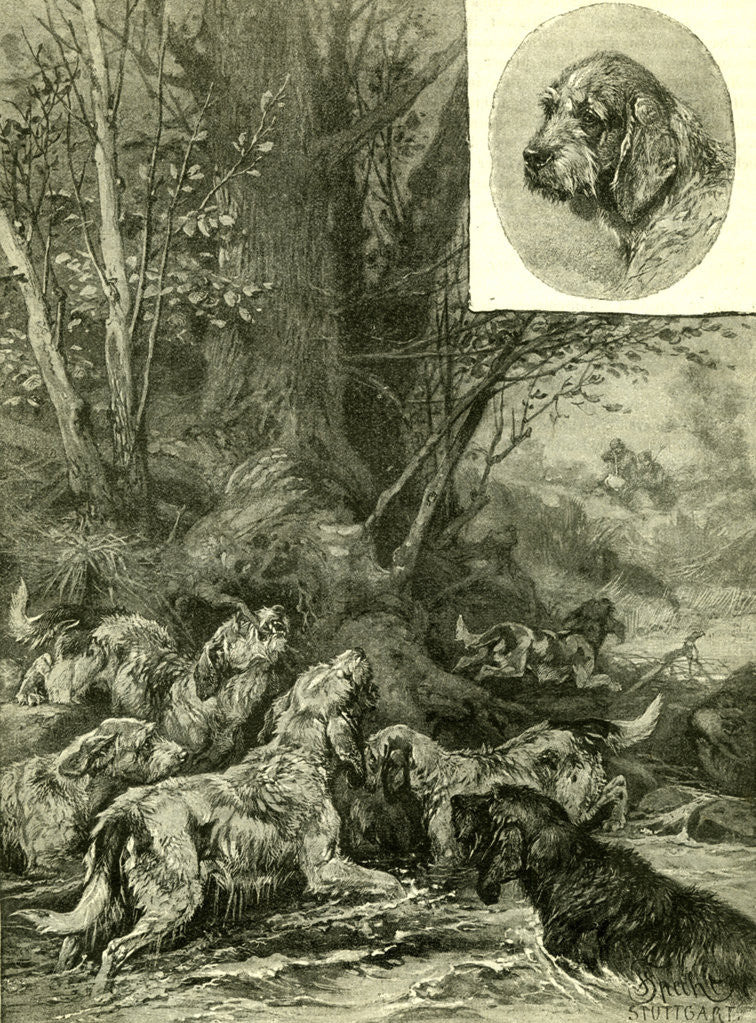 Detail of Dogs Hunting Austria 1891 by Anonymous