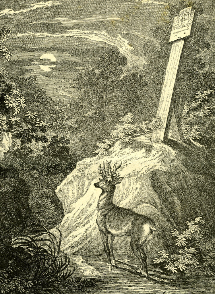 Detail of Stag Austria 1891 by Anonymous