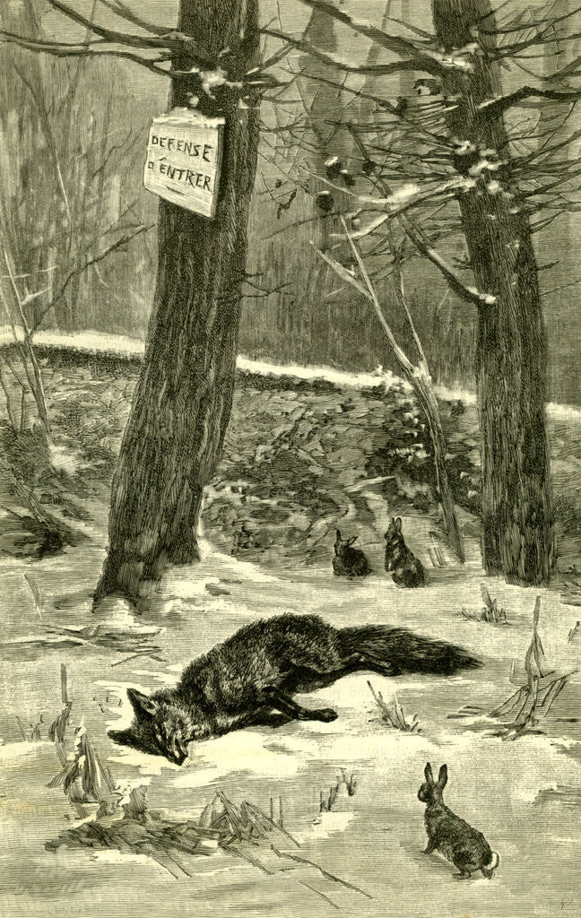 Detail of Hunting Fox Austria 1891 by Anonymous
