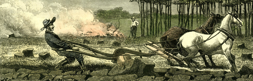 Detail of Canada Farm Life 1880 Breaking Up New Ground Stuck in a Root by Anonymous