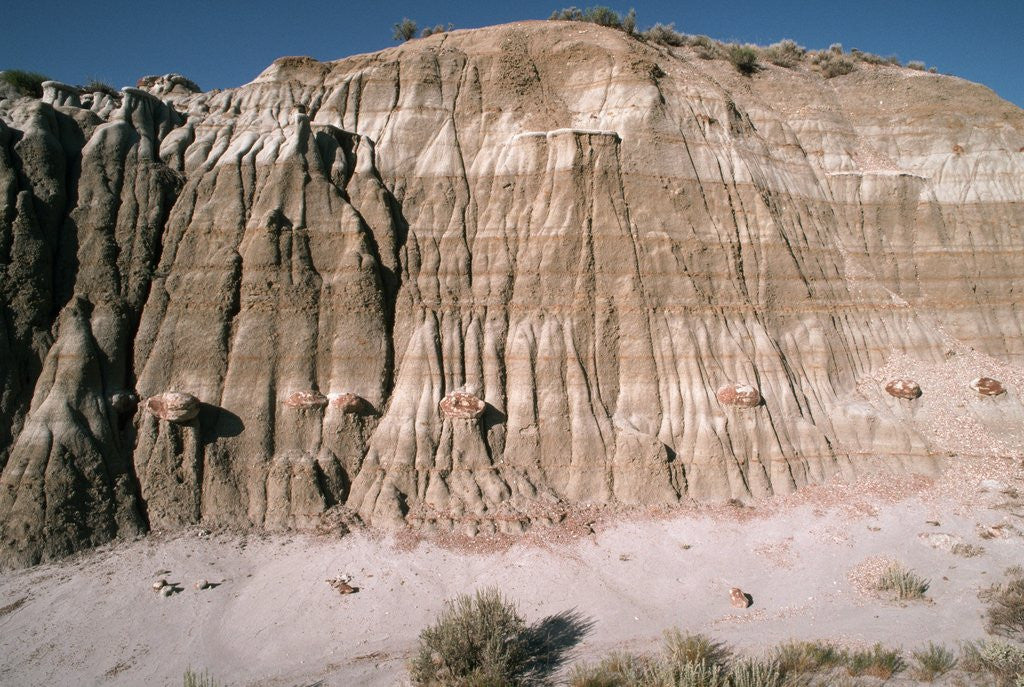Detail of Badlands in Theodore Roosevelt National Park by Corbis