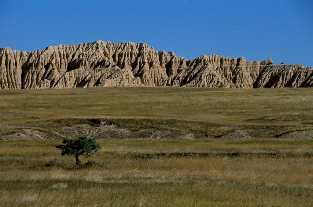 Detail of Landscape in Badlands National Park by Anonymous