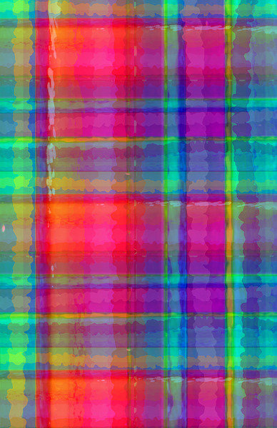 Detail of Bright Plaid by Louisa Hereford