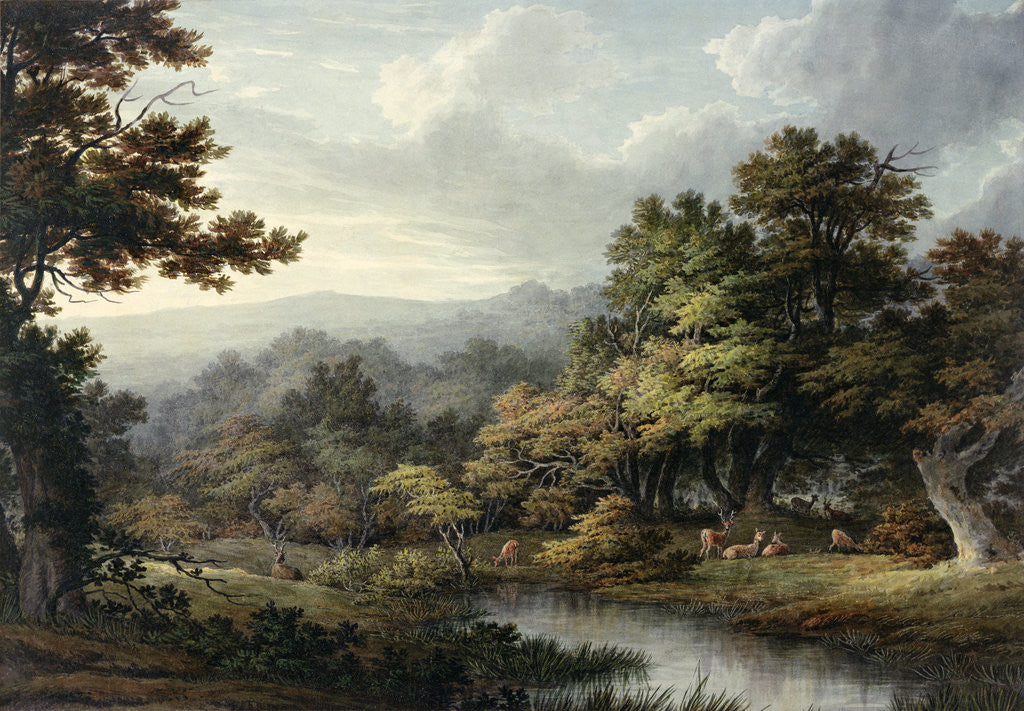 Detail of Forest Glade with Pool and Deer by John Glover