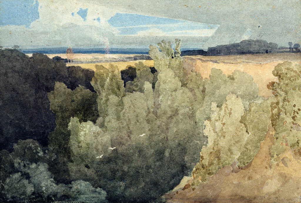 Detail of Brignall Banks on the Greta by John Sell Cotman