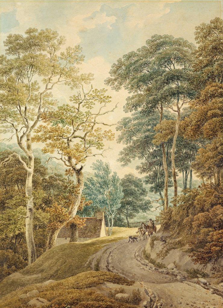 Detail of A Lane near Hindhead by Michael Rooker