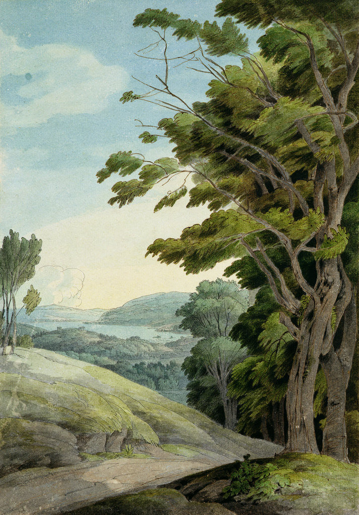 Detail of View from Rydal Park by Francis Towne
