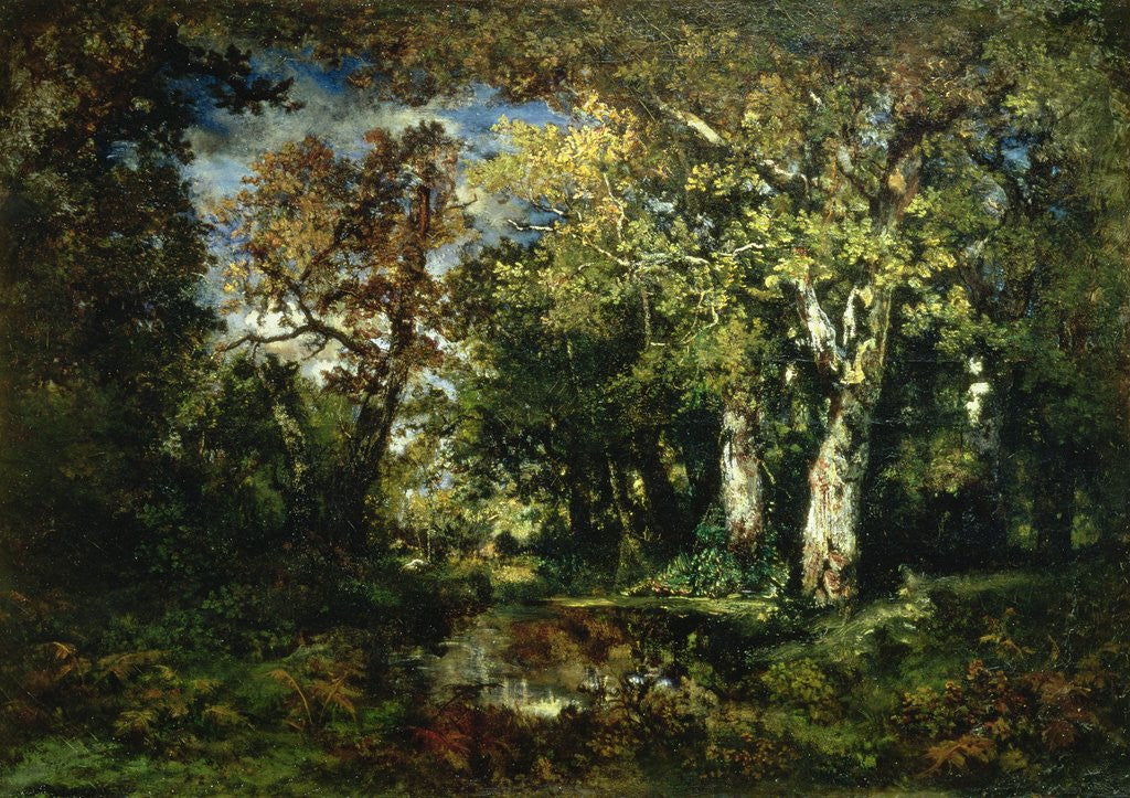 Detail of The Forest at Fontainebleau, 1870 by Narcisse Virgile Diaz de la Pena