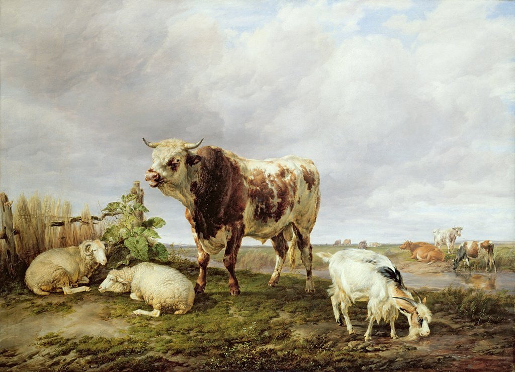 Detail of Cattle in the Meadow, 1843 by Thomas Sidney Cooper