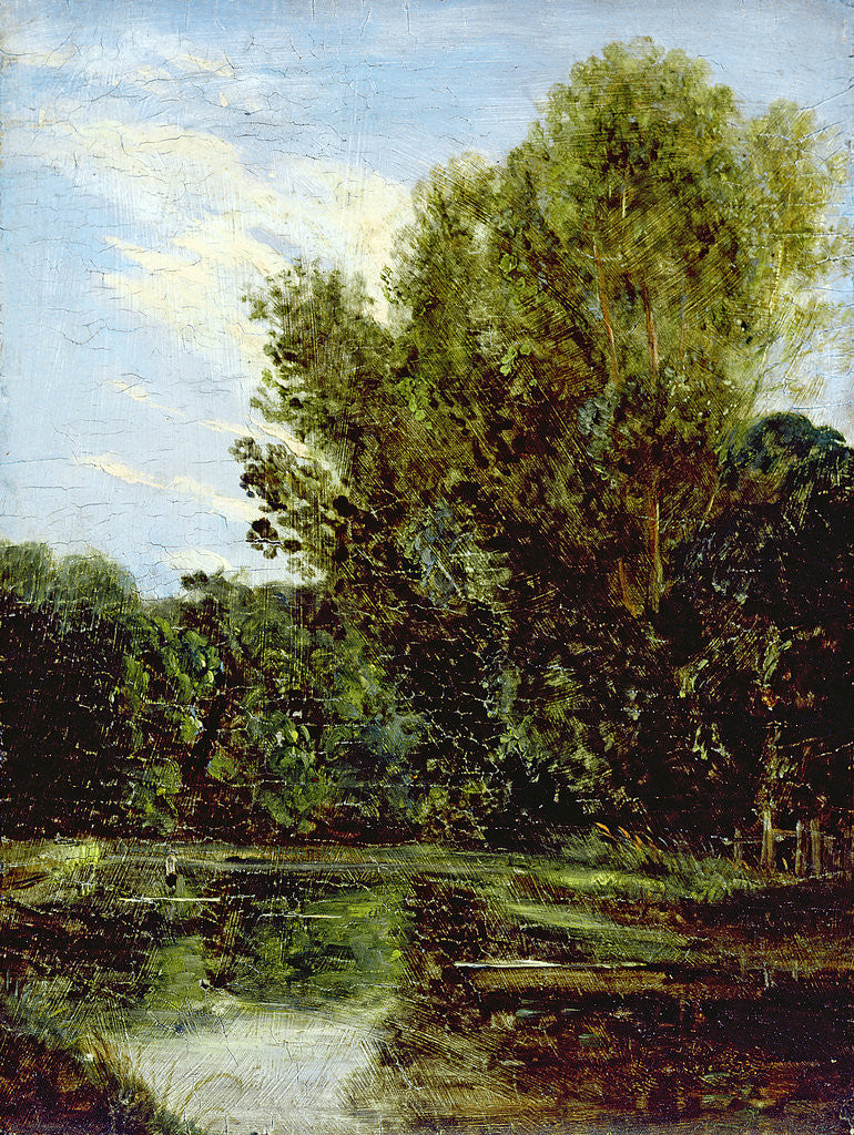 Detail of Corner of Hampstead Ponds by John Constable