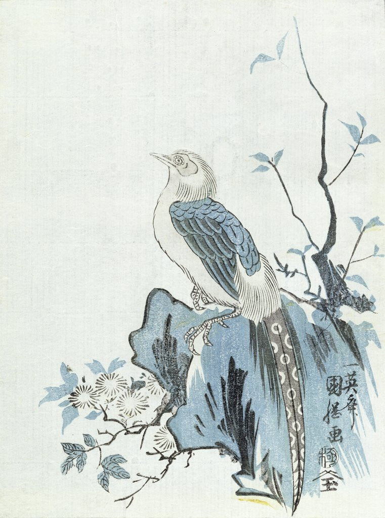 Detail of Bird on a Rock by Japanese School