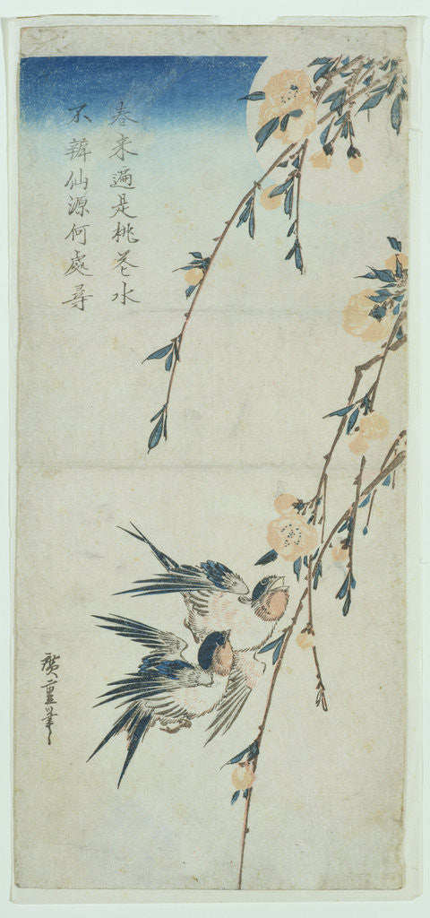 Detail of Swallows and Peach Blossom in Moonlight by Ando or Utagawa Hiroshige