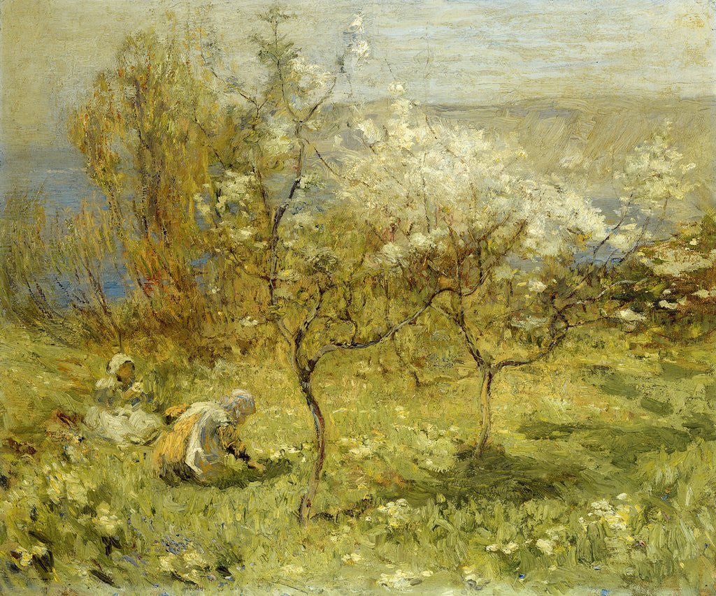 Detail of Apple Blossoms by Mark Senior