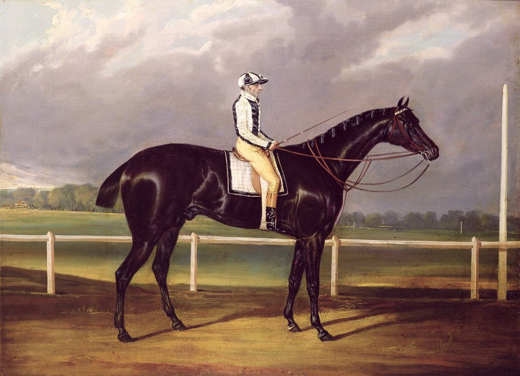 Detail of Jerry, Winner of the St. Leger in 1824 by English School