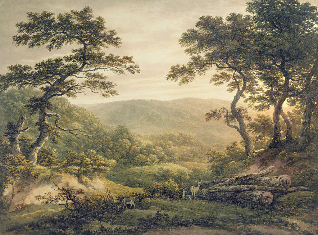 Detail of Needlewood Forest, Hampshire by John Glover