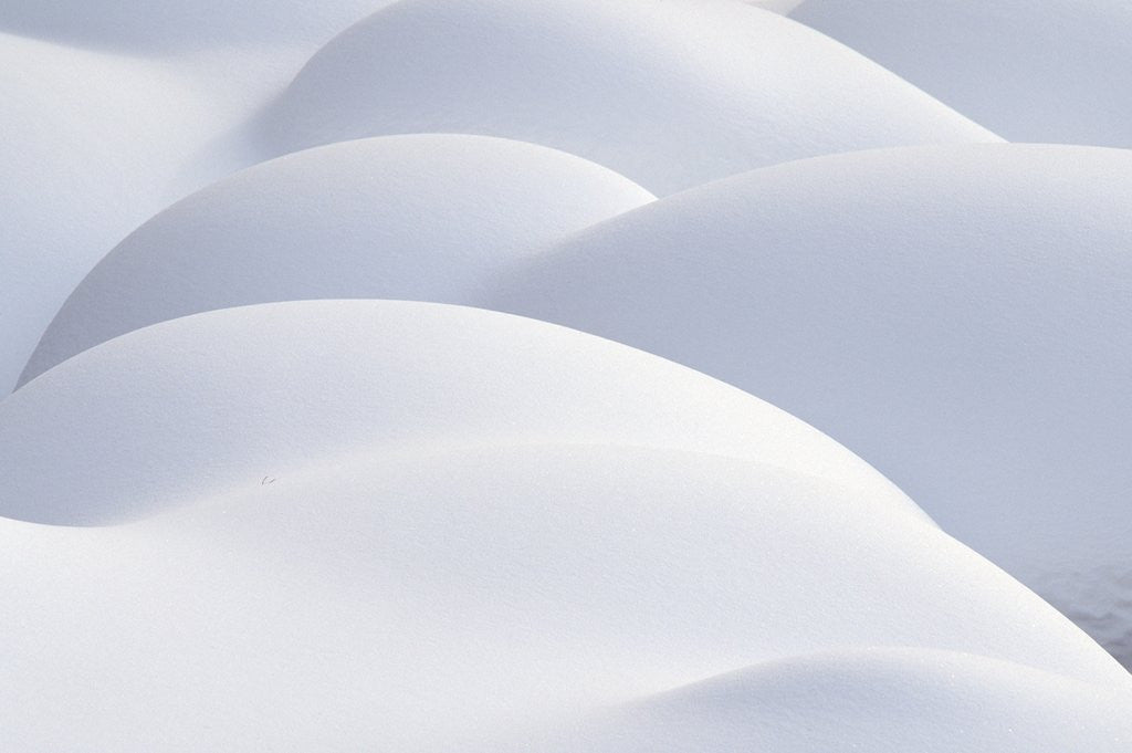 Detail of Snow Covering Rocks by Anonymous