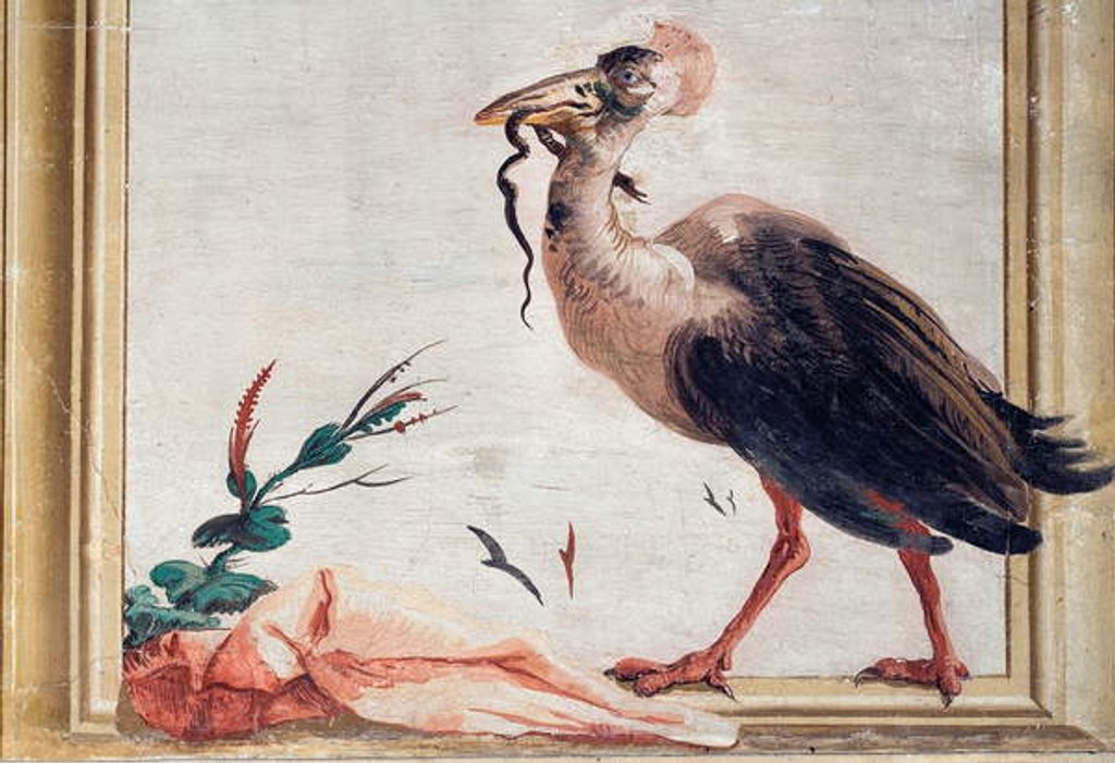 Detail of A Cassowary Holding a Snake in Its Beak by Giandomenico Tiepolo