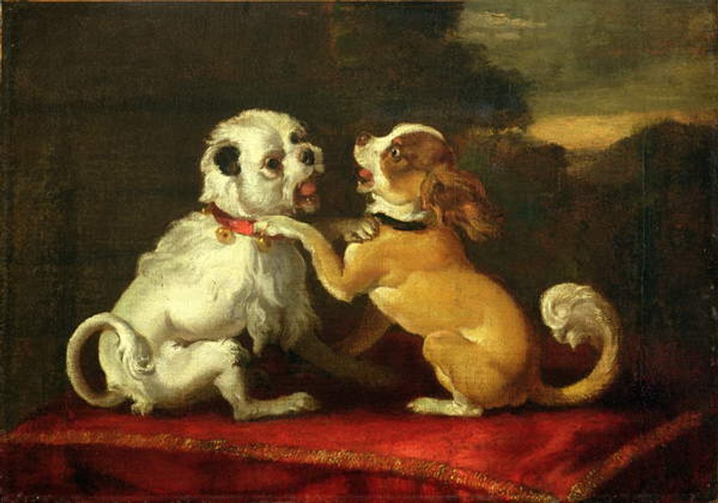 Detail of Dogs at Play by European School