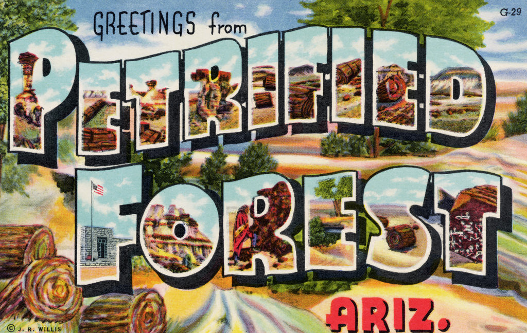 Detail of Greetings from Petrified Forest, Arizona Postcard by Anonymous